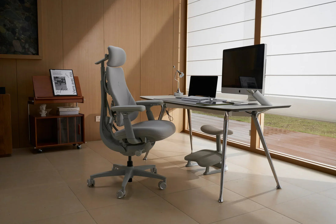 From Office to Home: LiberNovo Omni Adapts to All Settings