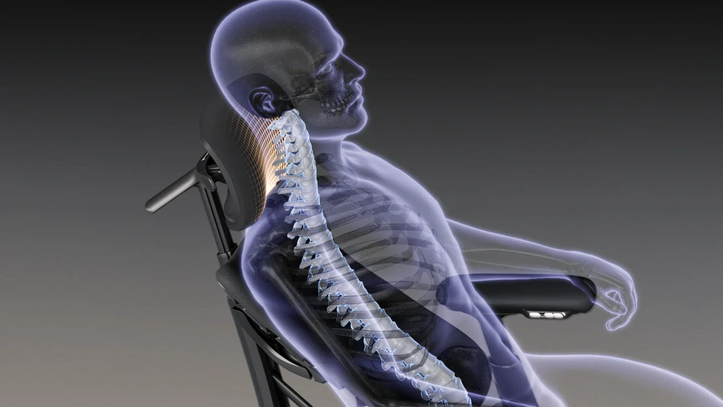 Neck & Shoulder Pain from Sitting? Dynamic Support Can Help