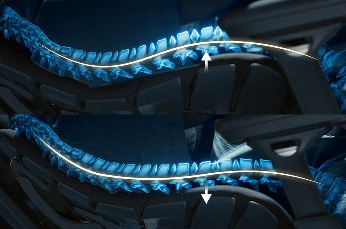 The Science of Sitting: How Your Office Chair Impacts Spinal Health