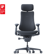 LiberNovo Omni Dynamic Ergonomic Chair