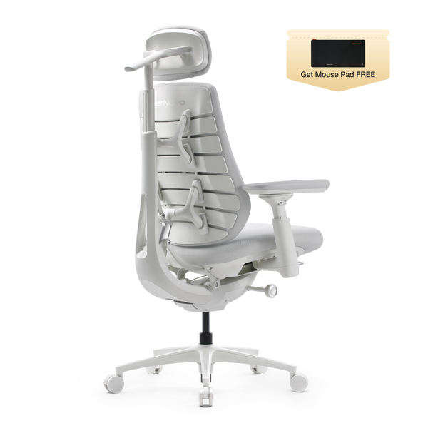 LiberNovo Maxis Dynamic Ergonomic Chair
