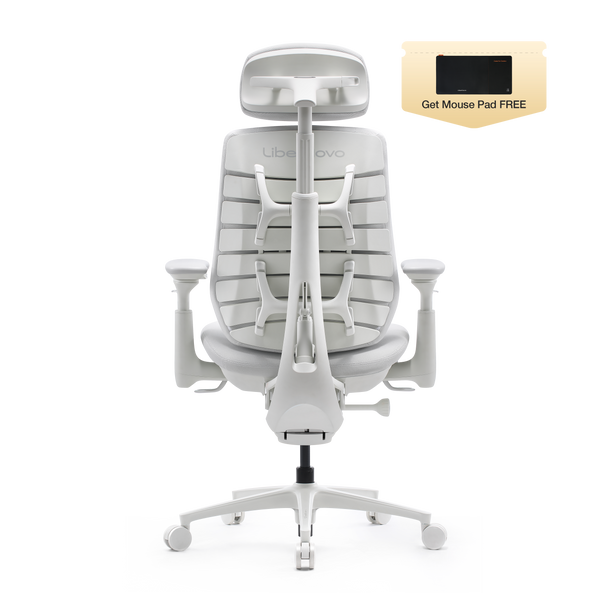 LiberNovo Maxis Dynamic Ergonomic Chair
