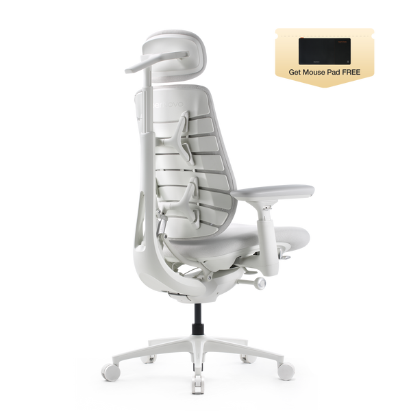 LiberNovo Maxis Dynamic Ergonomic Chair
