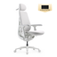LiberNovo Maxis Dynamic Ergonomic Chair
