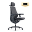 LiberNovo Maxis Dynamic Ergonomic Chair
