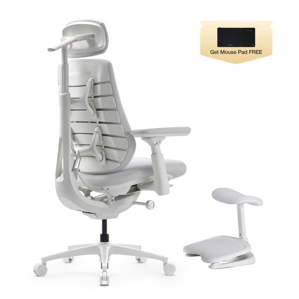 LiberNovo Maxis Dynamic Ergonomic Chair
