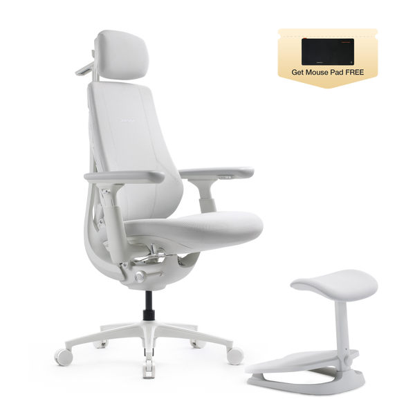 LiberNovo Maxis Dynamic Ergonomic Chair
