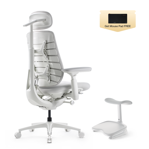 LiberNovo Maxis Dynamic Ergonomic Chair
