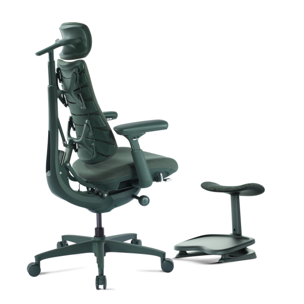 Ergo Dynamic LiberNovo Omni – Best Ergonomic Chair for Back Pain & Long Hours ...