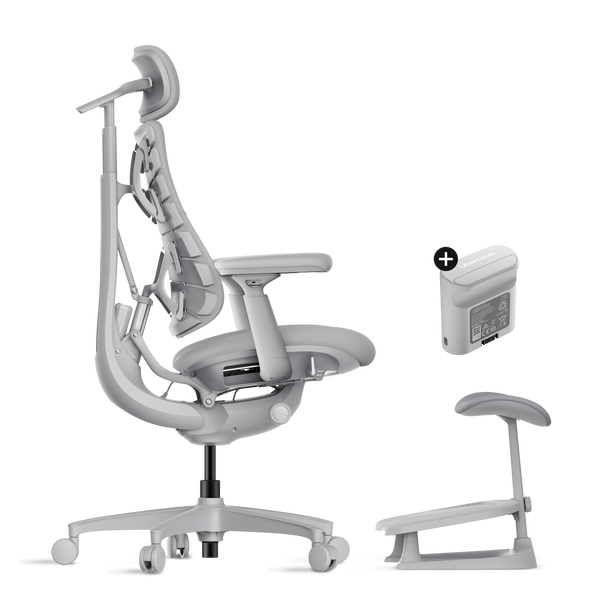 LiberNovo Omni Dynamic Ergonomic Chair
